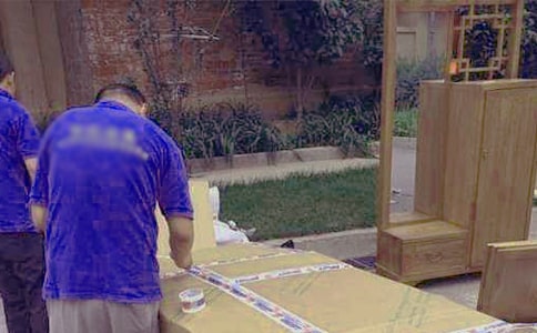 蚂蚁搬家观察日记13篇