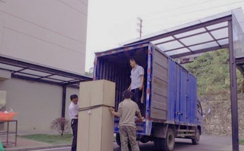 蚂蚁搬家的观察日记(合集8篇)