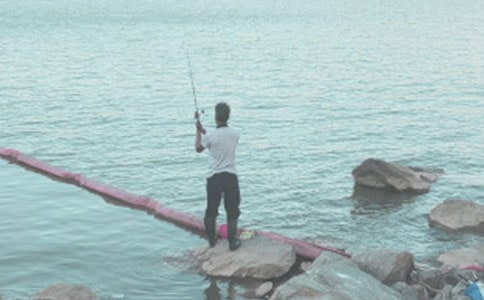 【推荐】钓鱼日记集锦4篇