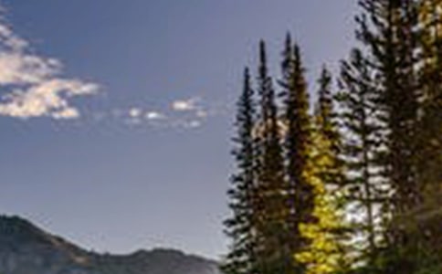 小学生四年级风景日记