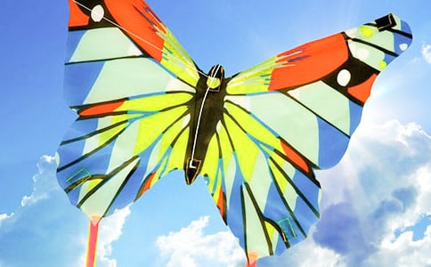 放风筝日记300字范文