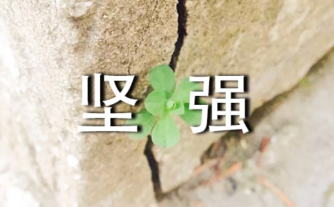 六年级关于坚强的日记