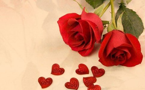 玫瑰花观察日记(精选9篇)