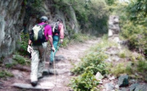 小学生爬山日记