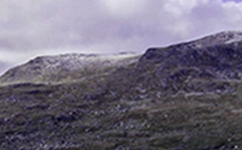 小学三年级爬山的日记怎么写