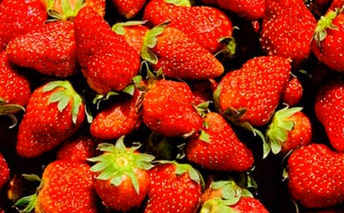 有关水果的五年级日记