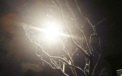 下雪带来的快乐六年级日记