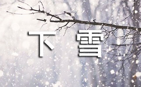 下雪了日记五年级