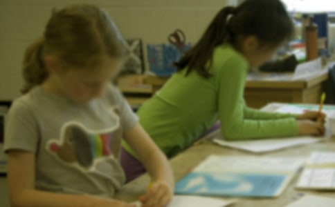 小学生的日记【荐】