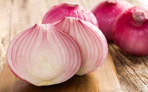 洋葱观察日记10篇