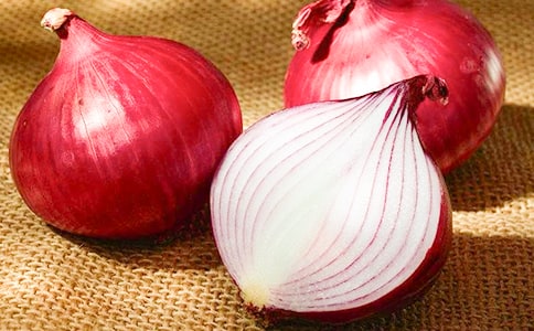 洋葱观察日记(汇编2篇)