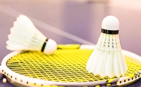 四年级关于羽毛球的日记