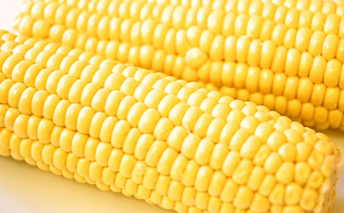 玉米观察日记汇编10篇