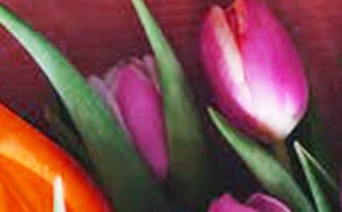 郁金香观察日记(通用46篇)