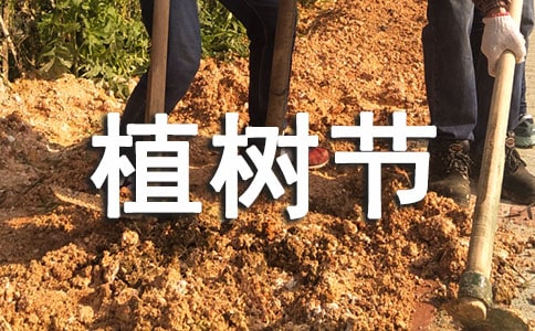 小学生植树节日记范文汇总七篇