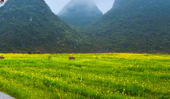 学生春游日记(15篇)
